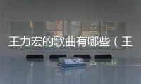 王力宏的歌曲有哪些（王力宏的歌曲）
