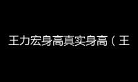 王力宏身高真實身高（王力宏身高）