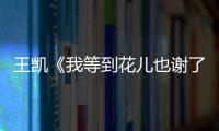 王凱《我等到花兒也謝了》引期待 皮卡凱上線魅力爆發