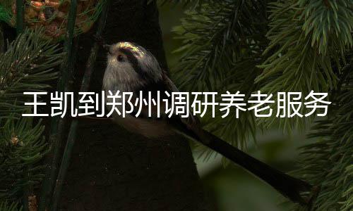 王凱到鄭州調研養老服務工作