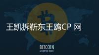 王凱拆靳東王鷗CP 網友：都配一臉【娛樂新聞】風尚中國網