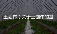 王劍偉（關于王劍偉的基本情況說明介紹）