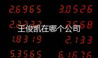 王俊凱在哪個公司