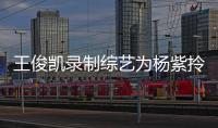 王俊凱錄制綜藝為楊紫拎包拍美照被贊紳士范