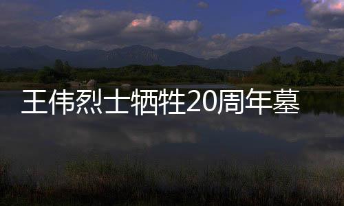 王偉烈士犧牲20周年墓前有人送來航母模型