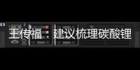 王傳福：建議梳理碳酸鋰資源布局和產能