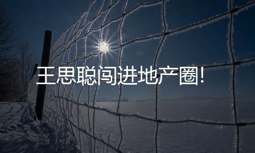 王思聰闖進地產圈!