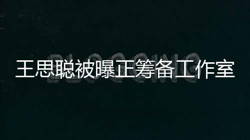 王思聰被曝正籌備工作室將簽藝人 進(jìn)軍娛樂圈人【娛樂新聞】風(fēng)尚中國網(wǎng)