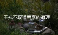 王戎不取道旁李的道理 王戎不取道旁李告訴什么道理