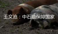 王文滄：中石油保障國家能源安全作用巨大