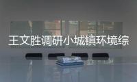 王文勝調研小城鎮環境綜合整治工作