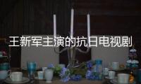 王新軍主演的抗日電視劇有哪些（王新軍）