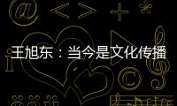 王旭東：當今是文化傳播的最好時代