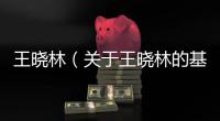王曉林（關(guān)于王曉林的基本情況說明介紹）
