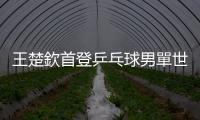 王楚欽首登乒乓球男單世界第一
