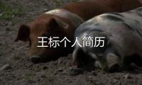 王標個人簡歷