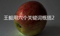 王毅用六個關鍵詞概括2018年中國外交