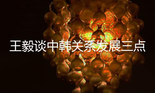 王毅談中韓關系發展三點啟示