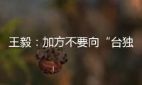 王毅：加方不要向“臺(tái)獨(dú)”發(fā)出任何錯(cuò)誤信號(hào)