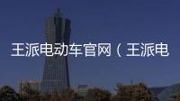 王派電動車官網(wǎng)（王派電動車）