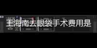 王海南去眼袋手術費用是多少