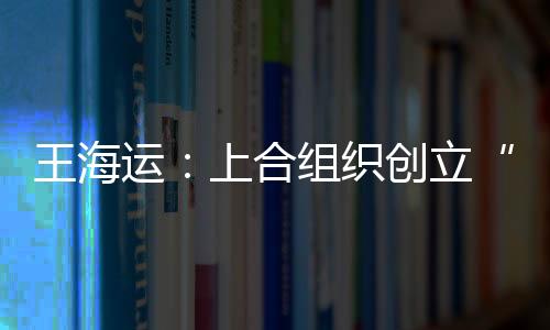 王海運：上合組織創(chuàng)立“新型能源合作機制”