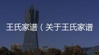 王氏家譜（關于王氏家譜的基本情況說明介紹）