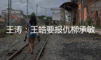 王濤：王皓要報仇柳承敏難有作為 王勵勤需擺脫壓力