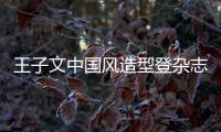 王子文中國風(fēng)造型登雜志封面 復(fù)古宮廷裝搭斗笠帽靈氣十足