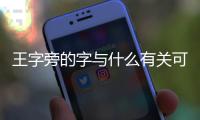 王字旁的字與什么有關可以組什么詞語 百度網盤