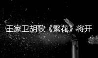 王家衛胡歌《繁花》將開拍 女主角是馬伊琍