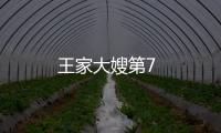 王家大嫂第7