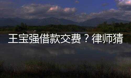 王寶強借款交費？律師猜測：故意這么寫