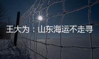 王大為：山東海運不走尋常路