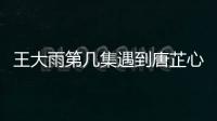 王大雨第幾集遇到唐芷心
