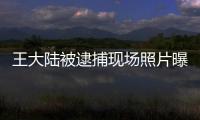 王大陸被逮捕現場照片曝光