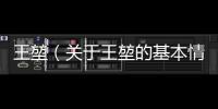 王堃（關(guān)于王堃的基本情況說明介紹）