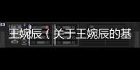 王婉辰（關于王婉辰的基本情況說明介紹）