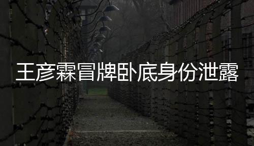 王彥霖冒牌臥底身份泄露 《繼承者計劃》警方內鬼悄然現身