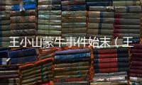 王小山蒙牛事件始末（王小山）