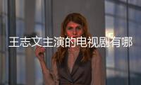 王志文主演的電視劇有哪些 年輕時候的他魅力超大