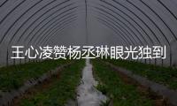 王心凌贊楊丞琳眼光獨到：她的男友有才華【娛樂新聞】風尚中國網