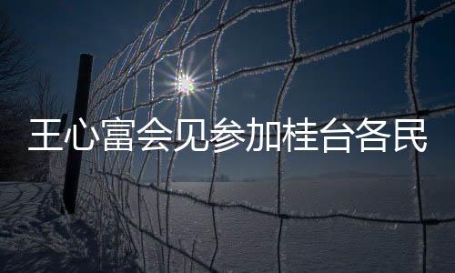 王心富會見參加桂臺各民族歡度“廣西三月三”活動臺灣嘉賓代表