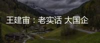 王建宙：老實話 大國企領導人對工資高低真不太在意