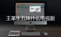 王革生五妹什么電視劇