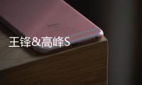 王鋒&高峰Science：五年磨一劍鈣鈦礦太陽能電池 – 材料牛