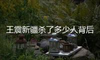 王震新疆殺了多少人背后的真相是什么?