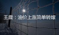 王震：油價(jià)上漲簡單轉(zhuǎn)嫁給最終消費(fèi)者不合理
