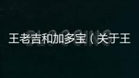 王老吉和加多寶（關于王老吉和加多寶的基本情況說明介紹）
