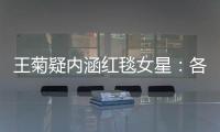 王菊疑內涵紅毯女星：各家為熱搜都拼了 我沒本事